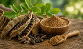 Mucuna Pruriens, natural L-DOPA dopamine aphrodisiac