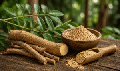Tongkat Ali, a natural aphrodisiac for men and women